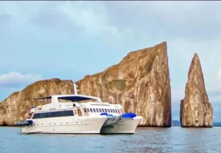 תמונה של WhatsApp‏ 2023-11-21 בשעה 00.16.24_9d48047e